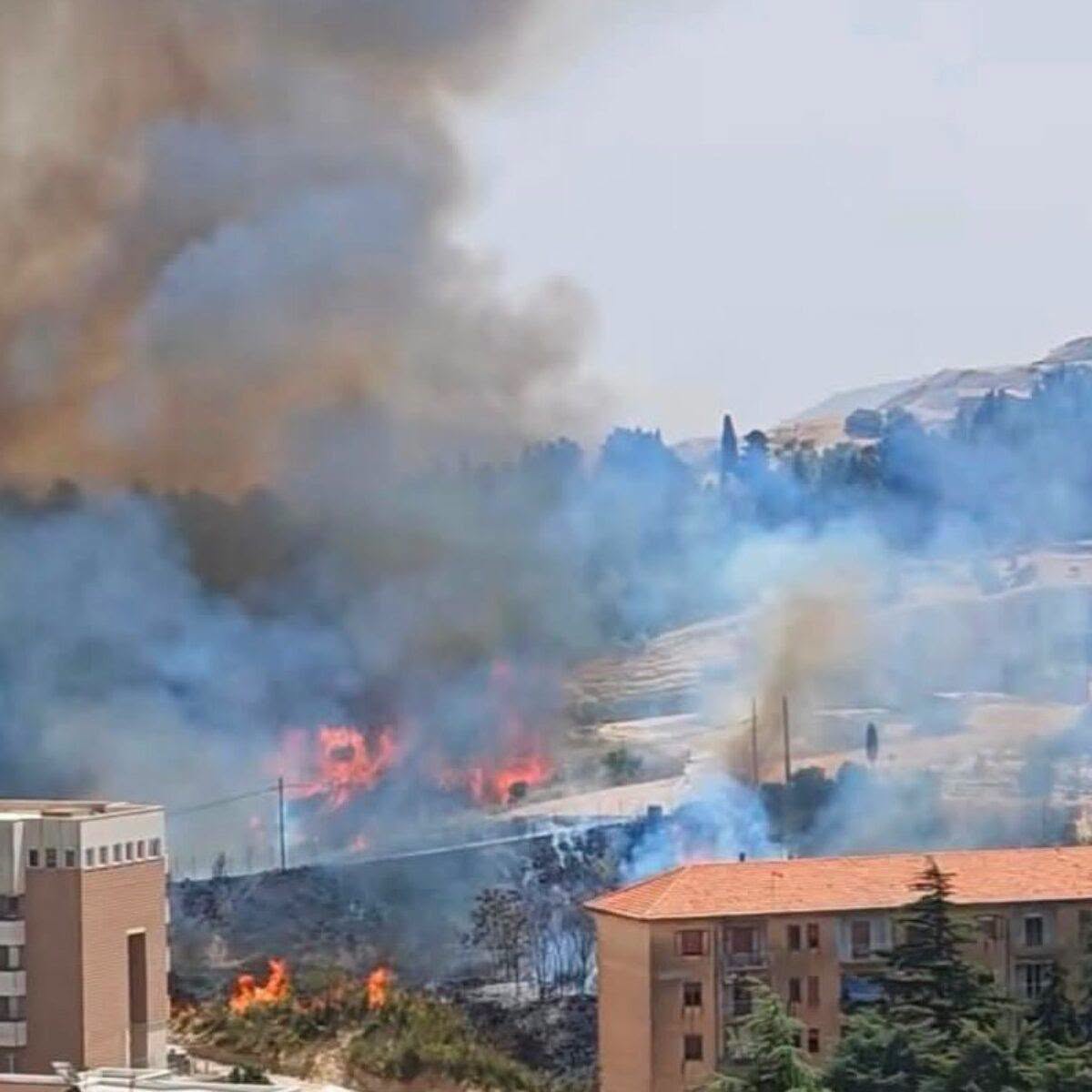 Scopri di più sull'articolo Agrigento – Incendio a Castronovo, Casteltermini è presente. Il sindaco Nicastro: “Vicini alle popolazioni colpite dal rogo”