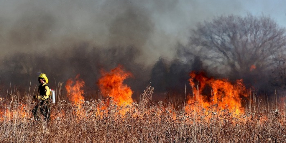 Scopri di più sull'articolo Agrigento – Incendi a Bivona, evacuate venti famiglie