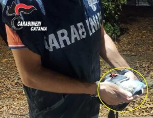 Scopri di più sull'articolo Agrigento – Nascondeva la droga sul tetto del chiosco: arrestato