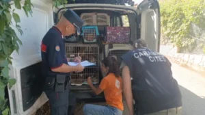 Scopri di più sull'articolo Agrigento – Sequestrati 100 cani detenuti in condizioni precarie: due denunciati
