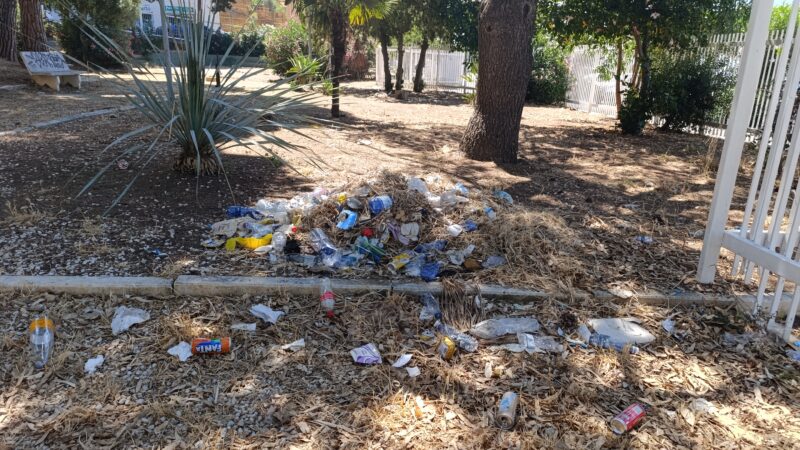 Al momento stai visualizzando Villa Lizzi: il Comune continua a combattere con i rifiuti persistenti