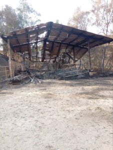 Scopri di più sull'articolo Agrigento – Vasto incendio a Cammarata: distrutti capannoni e campi di grano