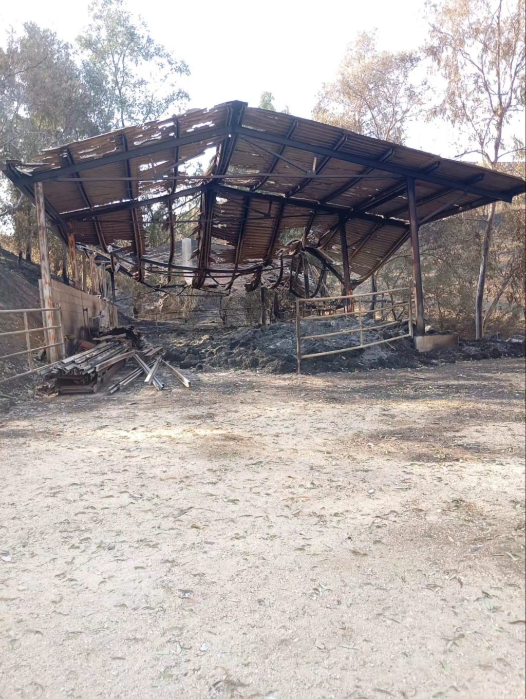 Al momento stai visualizzando Agrigento – Vasto incendio a Cammarata: distrutti capannoni e campi di grano