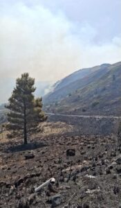 Scopri di più sull'articolo Agrigento – S.Stefano Quisquina, deliberati 30mila euro dal bilancio per sostenere le aziende colpite da incendi