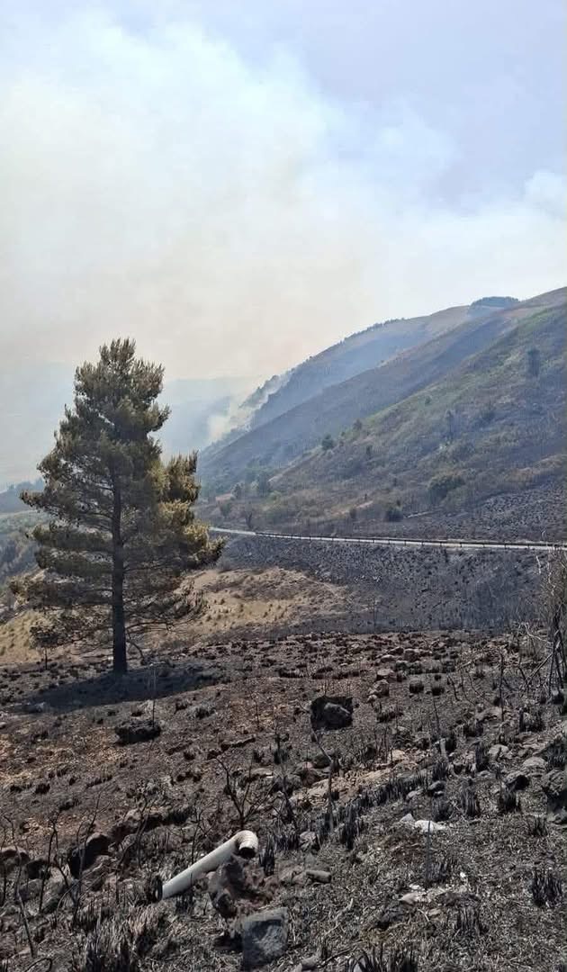 Al momento stai visualizzando Agrigento – Incendi, il consiglio comunale di S.Stefano Quisquina approva lo stato lo stato di calamità naturale