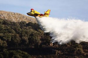 Scopri di più sull'articolo Incendi boschivi, Agrigento la provincia più colpita con 1.677 ettari andati in fumo