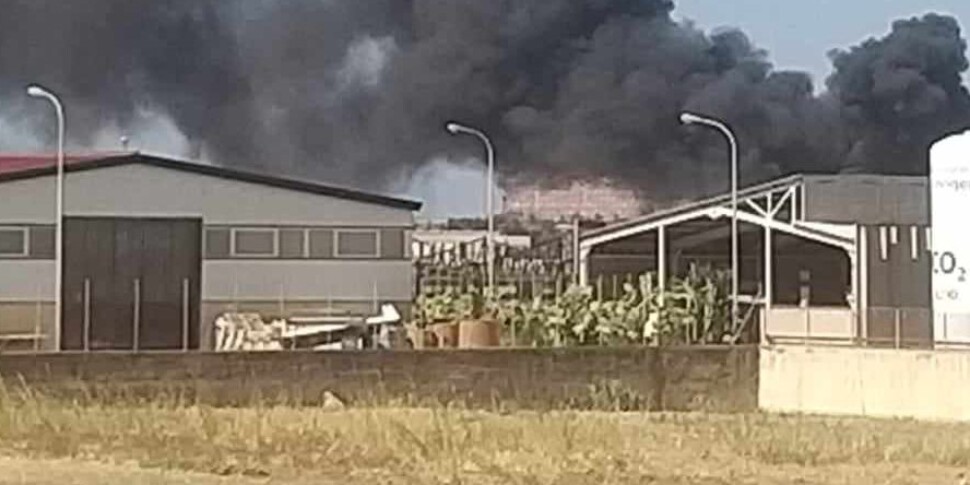 Al momento stai visualizzando Agrigento, le fiamme hanno distrutto 250 ettari di macchia mediterranea