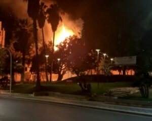 Scopri di più sull'articolo Agrigento – Incendio nelle campagne di Burgio: distrutto un uliveto con oltre 200 alberi