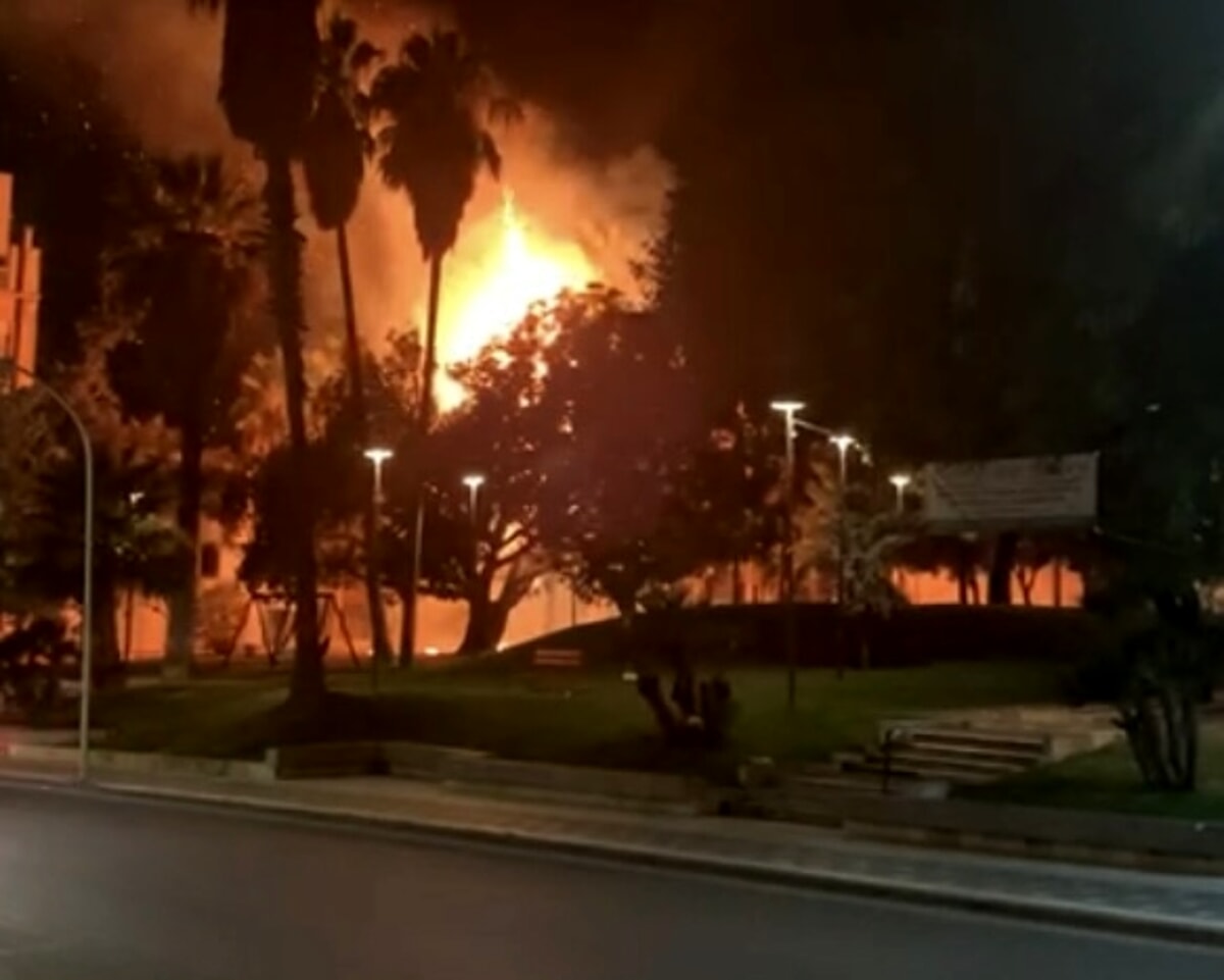Al momento stai visualizzando Agrigento – Incendio nelle campagne di Burgio: distrutto un uliveto con oltre 200 alberi