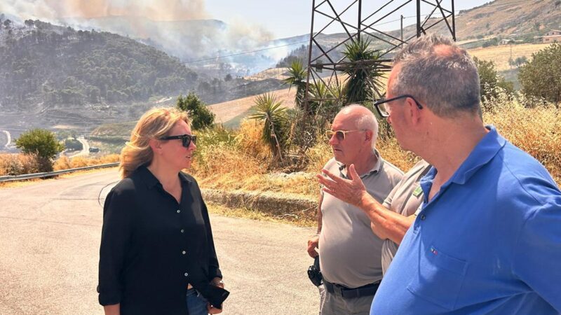 Scopri di più sull'articolo Agrigento – Incendi in Sicilia, sopralluoghi dell’assessore Giusi Savarino tra Bivona, Santo Stefano di Quisquina e Cammarata: “Grazie a chi sta fronteggiando le fiamme, ogni ettaro che brucia è una ferita”
