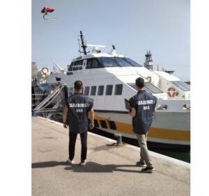 Scopri di più sull'articolo Agrigento – Controlli del N.A.S. a Lampedusa e Pantelleria: sequestrati circa 3 quintali di alimenti e sanzioni per 40 mila euro