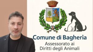 Scopri di più sull'articolo Randagismo, l’assessore Tripoli chiede un cambio di rotta deciso per gli animali