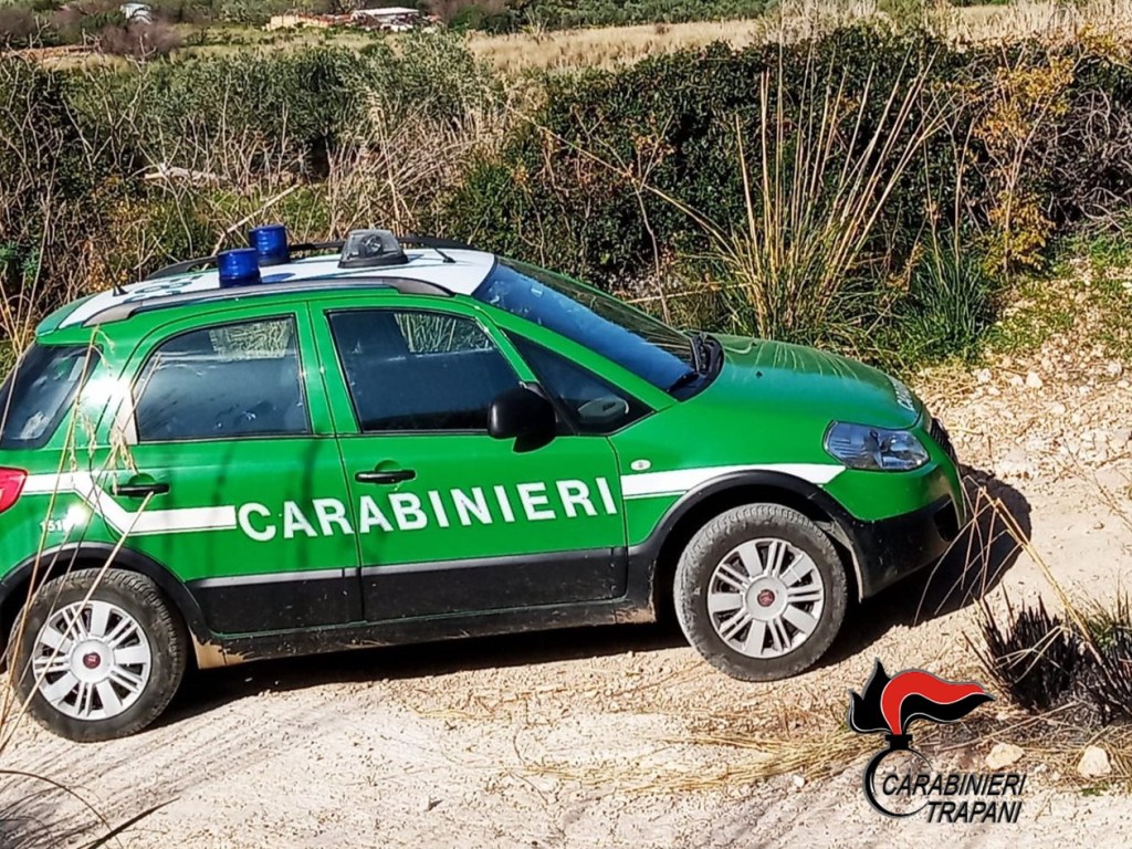 Al momento stai visualizzando Falsa veterinaria smascherata: denunciata per esercizio abusivo della professione