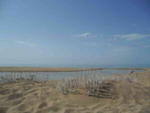 Scopri di più sull'articolo Agrigento – Messa in sicurezza dell’alveo del fiume Belice. Visita dei tecnici