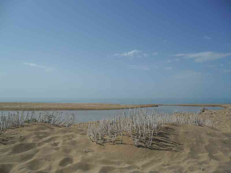 Scopri di più sull'articolo Agrigento – Messa in sicurezza dell’alveo del fiume Belice. Visita dei tecnici