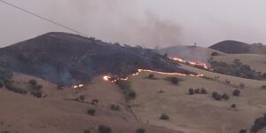 Scopri di più sull'articolo Agrigento – Sicilia in fiamme, 40 incendi e famiglie senza elettricità