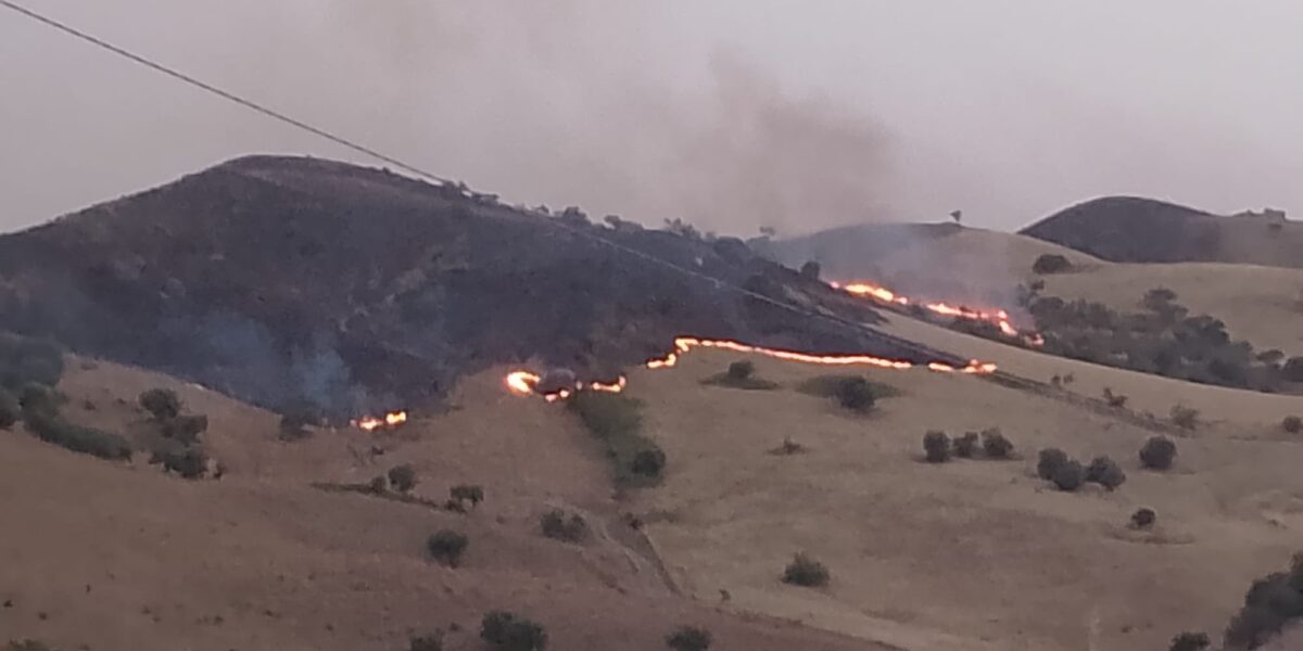 Al momento stai visualizzando Agrigento – Sicilia in fiamme, 40 incendi e famiglie senza elettricità