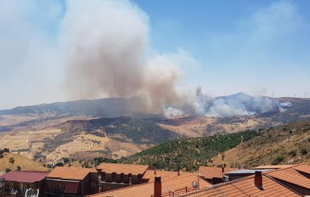 Scopri di più sull'articolo Agrigento – Incendi, l’assessore Savarino: «La Regione in campo con il più grande sforzo di sempre per mezzi e personale»