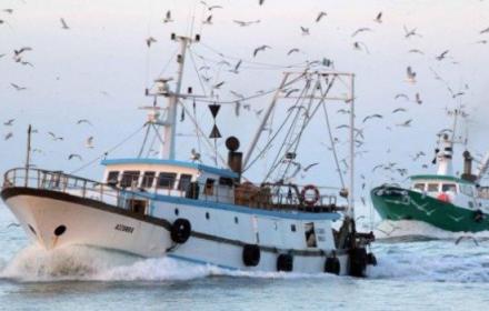 Al momento stai visualizzando Pesca siciliana in crisi: Associazioni chiedono urgente rifinanziamento del Fondo