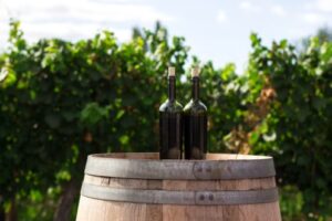 Scopri di più sull'articolo Ecco le 4 riviste europee da seguire per vini biologici e sostenibili