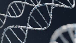 Scopri di più sull'articolo Agrigento – Senzatetto morto dal caldo a Canicattì, test dna per dare un nome alla vittima