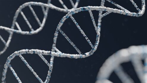 Scopri di più sull'articolo Agrigento – Senzatetto morto dal caldo a Canicattì, test dna per dare un nome alla vittima