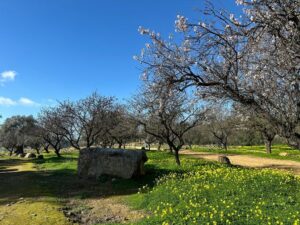 Scopri di più sull'articolo Agrigento – Giovedì 20 agosto |I percorsi di SONORA. Domenica 23 agosto | L’eterna misura con Beniamino Biondi; visita filosofica per la mostra Fernando Botero. L’incanto del mito; Venerdì 21 agosto Villa Romana di Punta Grande (Realmonte)