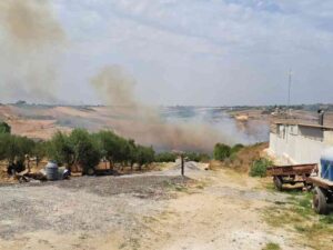 Scopri di più sull'articolo Agrigento – Menfi. Altro incendio, questa volta nella zona di Cava del Serpente
