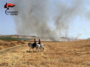 Scopri di più sull'articolo Agrigento – Incendi boschivi, impegnati nella campagna prevenzione anche i Carabinieri a Cavallo