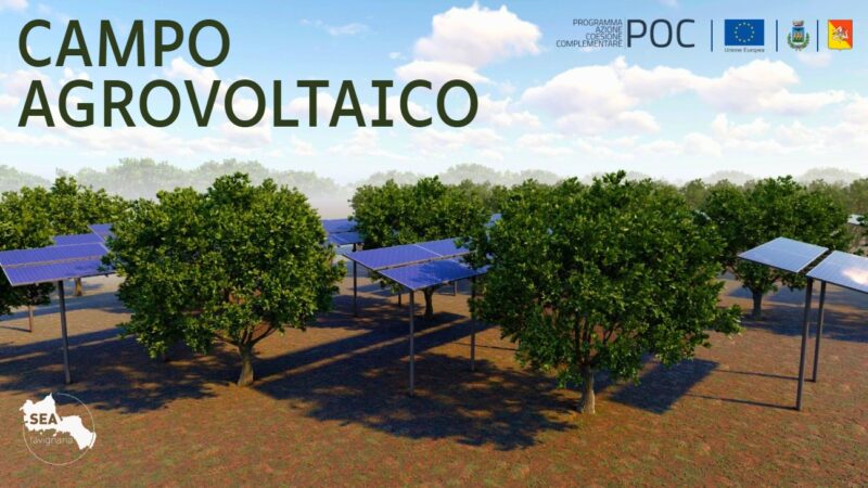 Al momento stai visualizzando Agrigento – Innovazione energetica sostenibile, SEA Favignana punta sull’impianto agrivoltaico: previste riduzioni di oltre il 20% delle emissioni