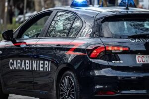 Scopri di più sull'articolo Agrigento – Testa mozzata di animale davanti l’abitazione di una pensionata a Raffadali, indagini 