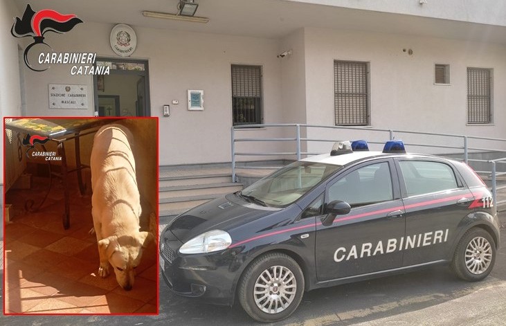 Al momento stai visualizzando Agrigento – Lascia il cane sul balcone di casa al sole: denunciato 50enne
