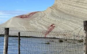 Scopri di più sull'articolo Agrigento – Sfregio alla Scala dei Turchi, il processo approda in appello: due favaresi davanti ai giudici