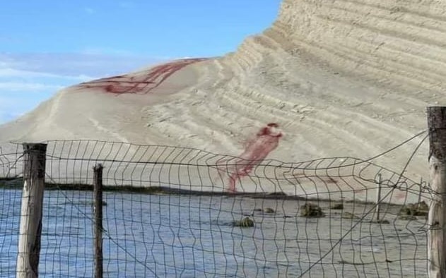 Al momento stai visualizzando Agrigento – Sfregio alla Scala dei Turchi, il processo approda in appello: due favaresi davanti ai giudici