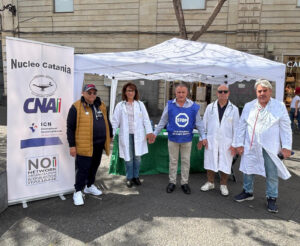 Scopri di più sull'articolo Agrigento – Aggressioni negli ospedali siciliani, CNAI Catania: «Gli infermieri sono alleati, non bersagli»