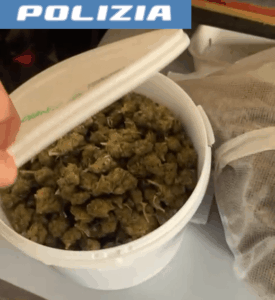 Scopri di più sull'articolo Agrigento – In garage con 3.5 chili di marijuana acquistata online, denunciato