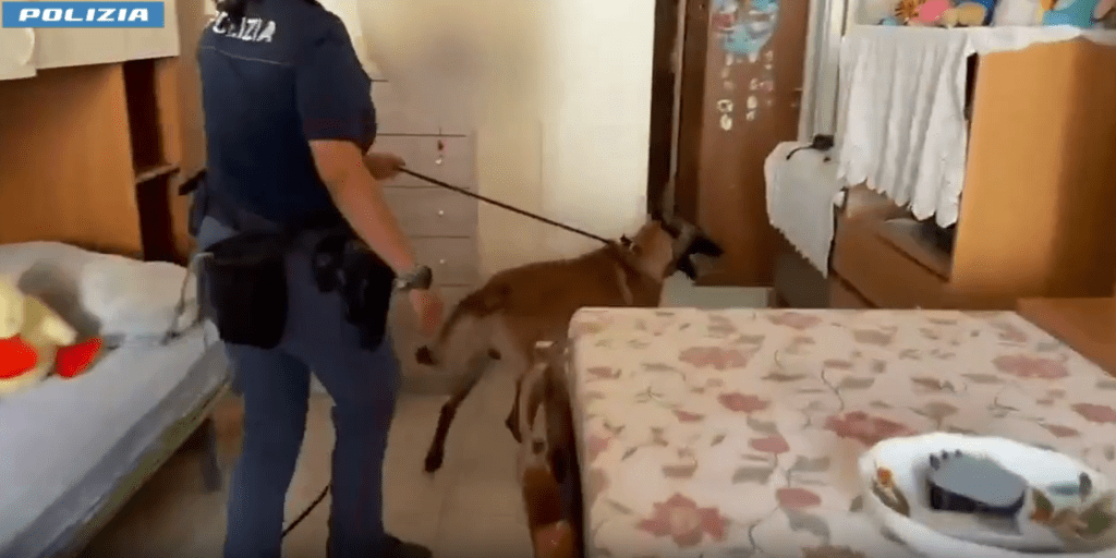Al momento stai visualizzando Agrigento – “Rex” fiuta la droga nella stanzetta di un 14enne, arrestato