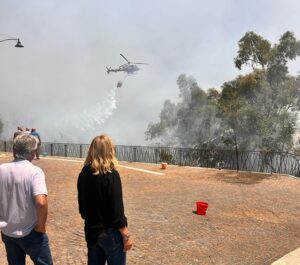 Scopri di più sull'articolo Agrigento – Incendi, oltre 18 milioni per la riforestazione: pubblicato elenco progetti ammissibili. Schifani e Savarino: “Ricostruiamo gli ecosistemi feriti dal fuoco”