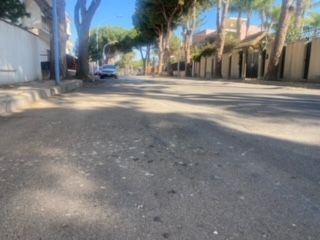 Al momento stai visualizzando Agrigento, spara e ferisce un cane dopo un’aggressione