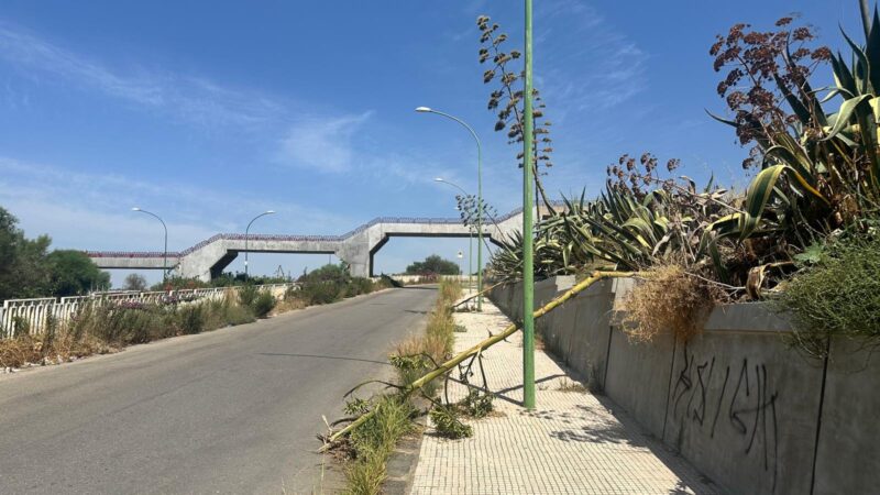 Al momento stai visualizzando Agrigento, pericolo in via Aviere Volpe: Grosse piante crollate e altre sembrano pronte a cadere