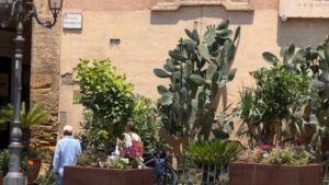 Scopri di più sull'articolo Agrigento, il punto non è la bicicletta: chi pretende le regole dagli altri dovrebbe essere il primo a dare l’esempio