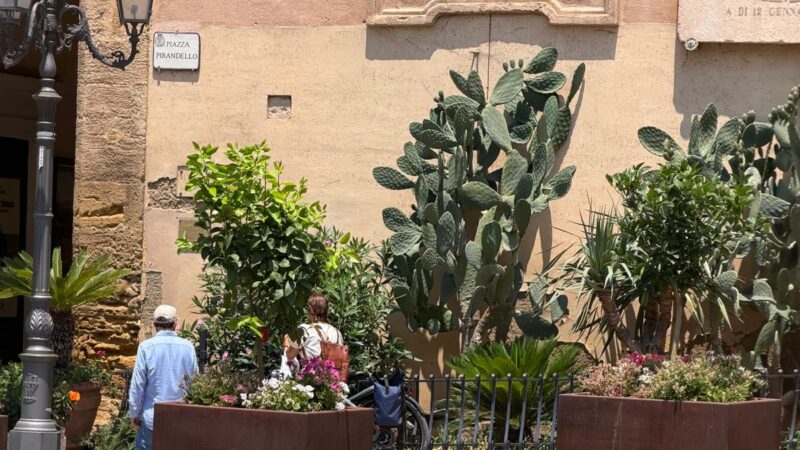 Al momento stai visualizzando Agrigento, il punto non è la bicicletta: chi pretende le regole dagli altri dovrebbe essere il primo a dare l’esempio
