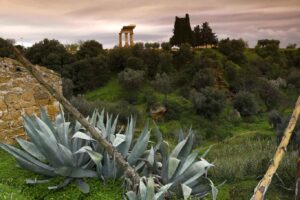 Scopri di più sull'articolo Agrigento – SERE FAI D’ESTATE: ad agosto al Giardino della Kolymbethra: prossimi eventi