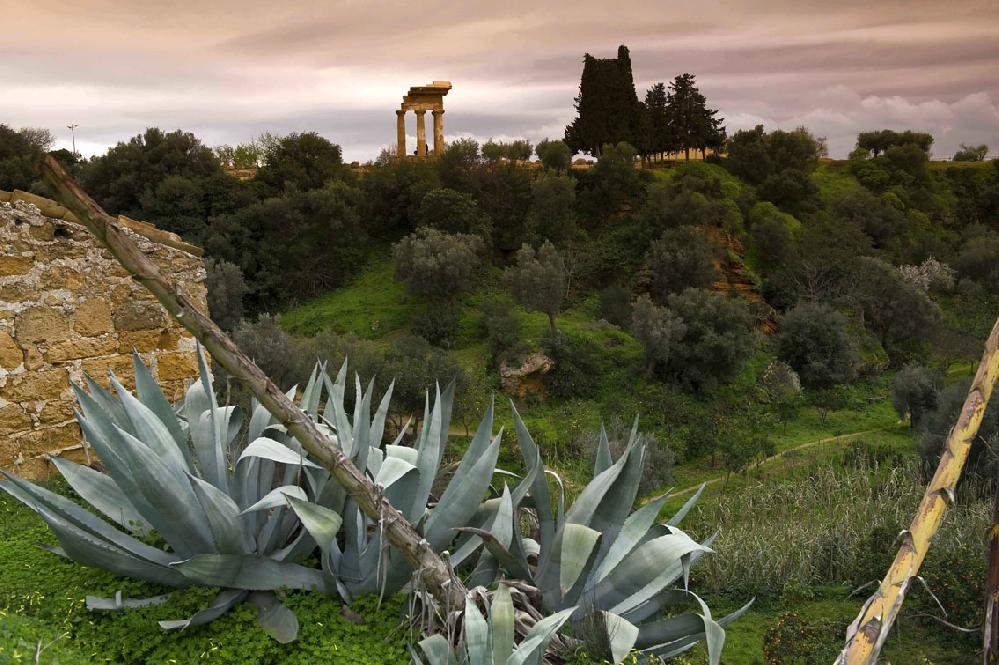 Al momento stai visualizzando Agrigento – SERE FAI D’ESTATE: ad agosto al Giardino della Kolymbethra: prossimi eventi