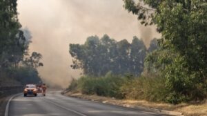 Scopri di più sull'articolo Agrigento – Fiamme nell’Agrigentino: bruciati 130 ettari, tre auto e il deposito di uno stabilimento balneare