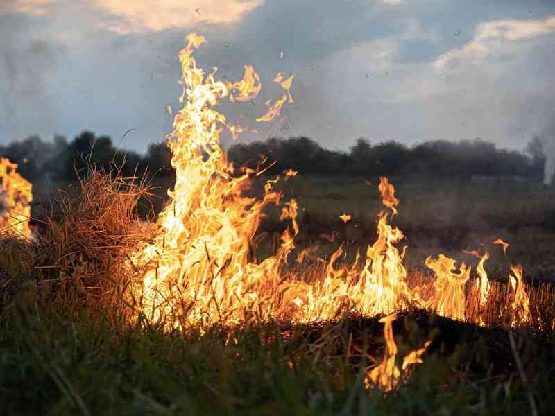 Al momento stai visualizzando Agrigento – Incendio alla Foce del Belice: forte vento spinge le fiamme, elicotteri in azione