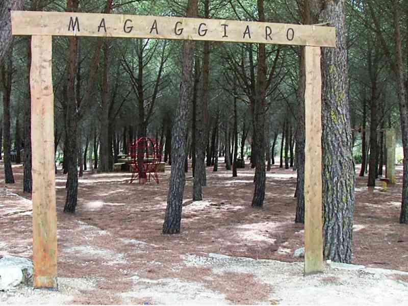 Al momento stai visualizzando Agrigento – Menfi, in arrivo 670 mila euro per la tutela e la valorizzazione del patrimonio boschivo