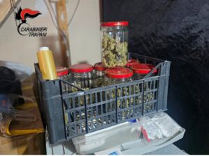 Scopri di più sull'articolo Agrigento – Coltivazione di  marijuana all’interno di un appartamento: arrestato straniero