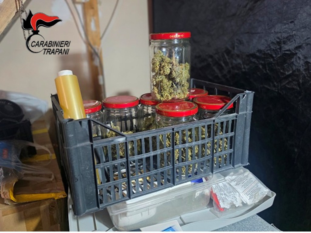 Al momento stai visualizzando Agrigento – Coltivazione di  marijuana all’interno di un appartamento: arrestato straniero