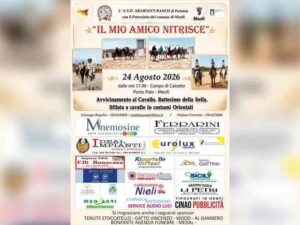 Scopri di più sull'articolo Agrigento – Menfi, a Porto Palo l’evento equestre "Il mio amico nitrisce"